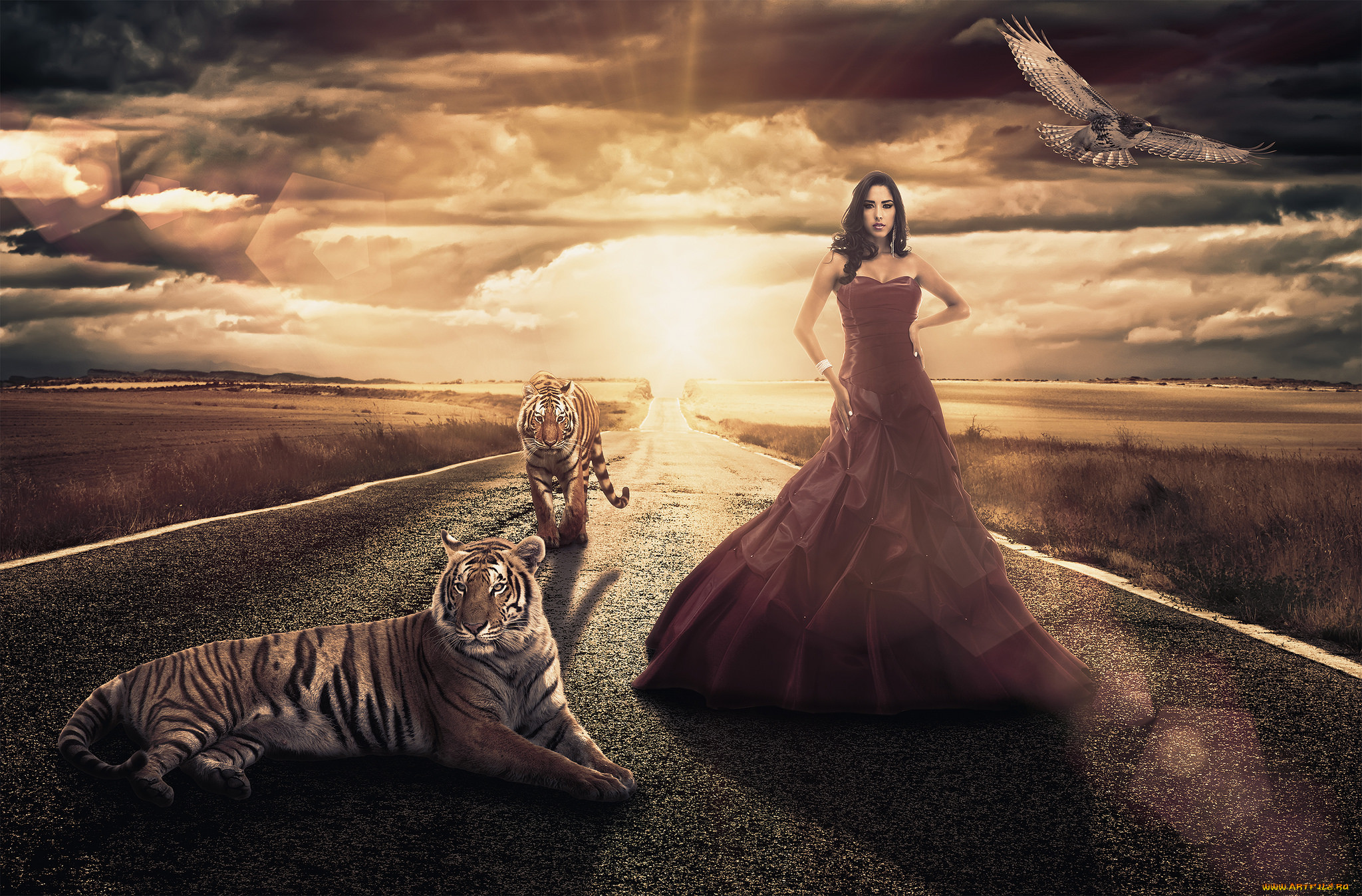 , , the, road, , , , girl, tigers